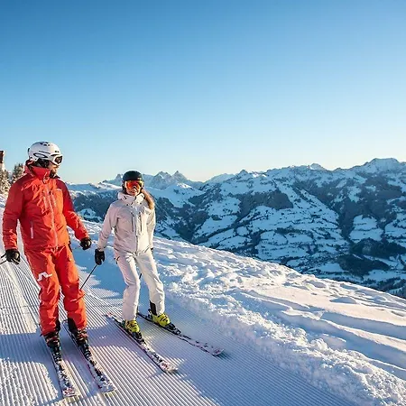 Tennerhof Luxury Alpehytte *